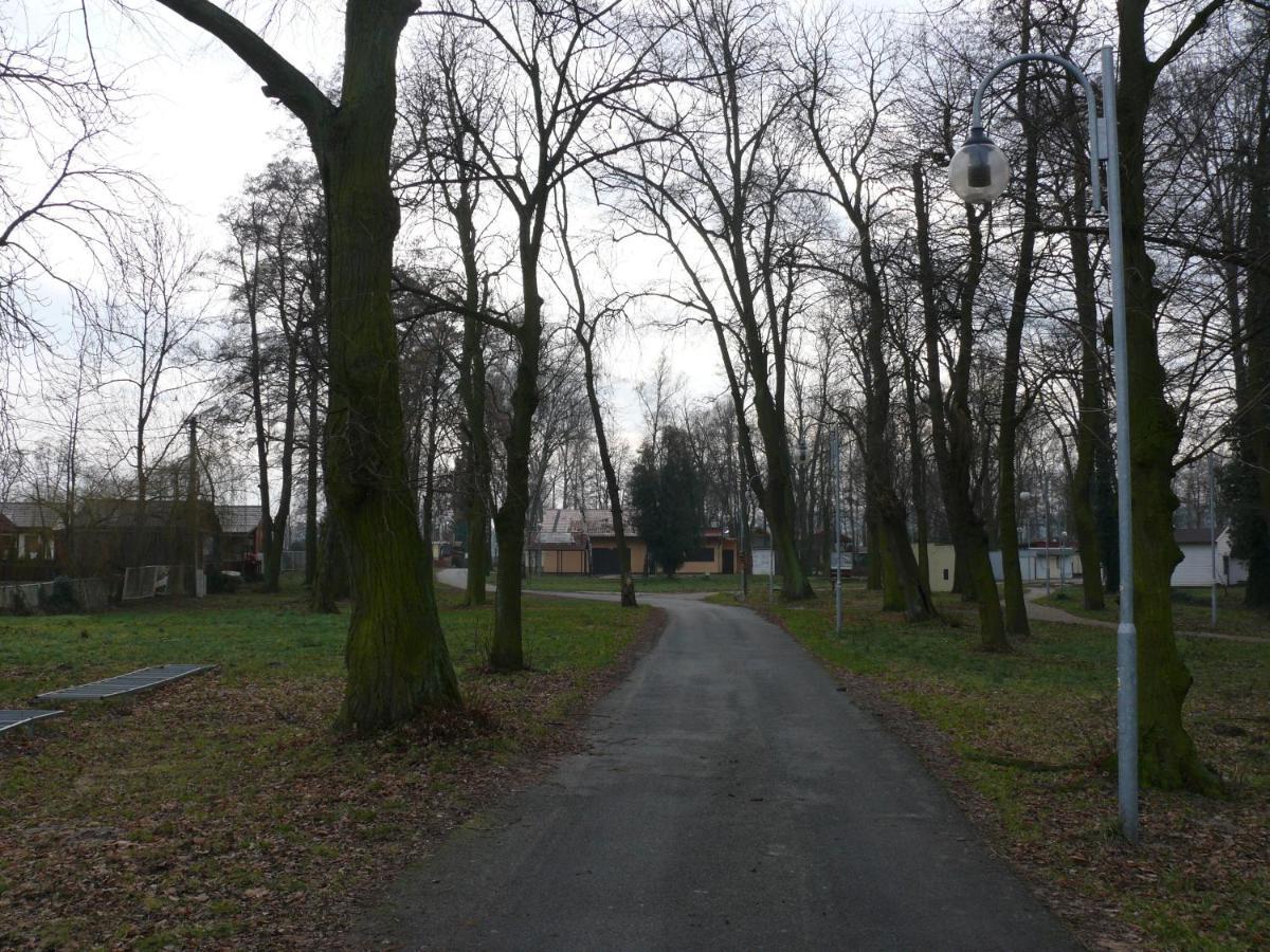 Domek Nad Jeziorem Osieczna Eksteriør billede